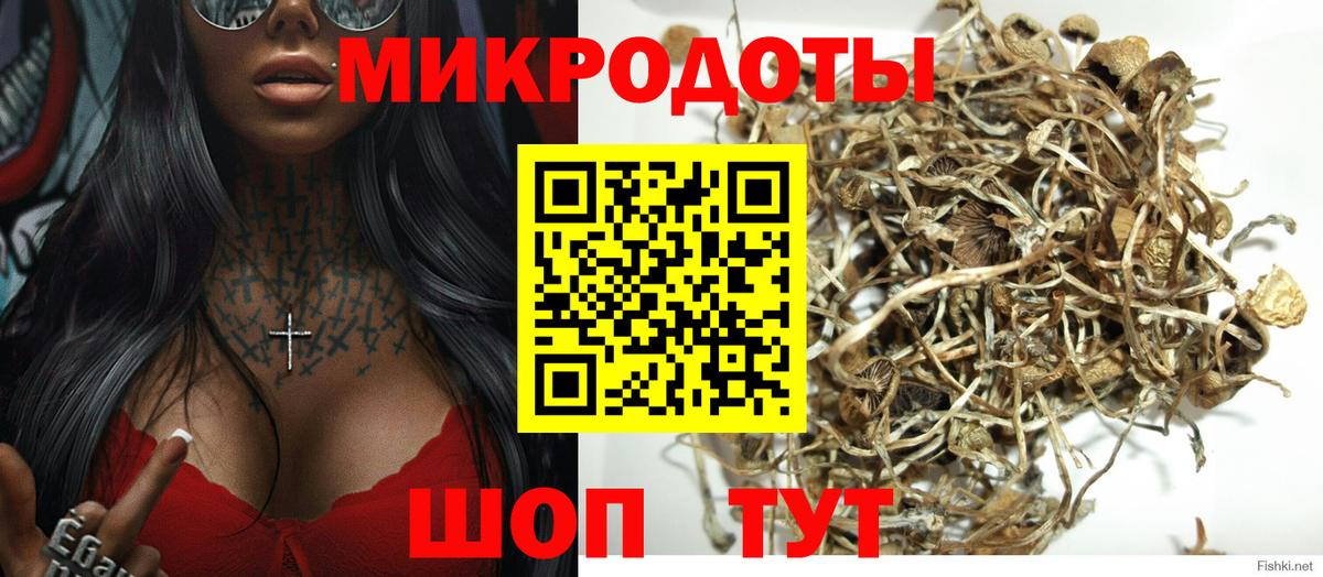 Нефтеюганск  Галлюциногенные грибы прущие грибы  Вход с VPN  Псилоцибиновые грибы Psilocybe 